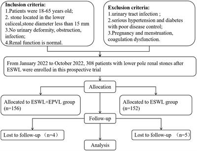 Effect of external physical vibration lithecbole in obese patients with lower pole stones <15 mm after ESWL: a single-centre, randomized, open label clinical trial